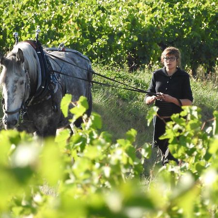 Готель Domaine Houillon Faucon  Екстер'єр фото